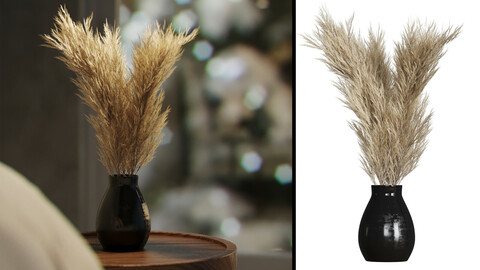 Pampas grass in vase