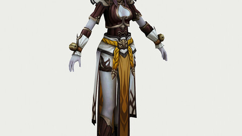 Cloth Ladies Clothing 21