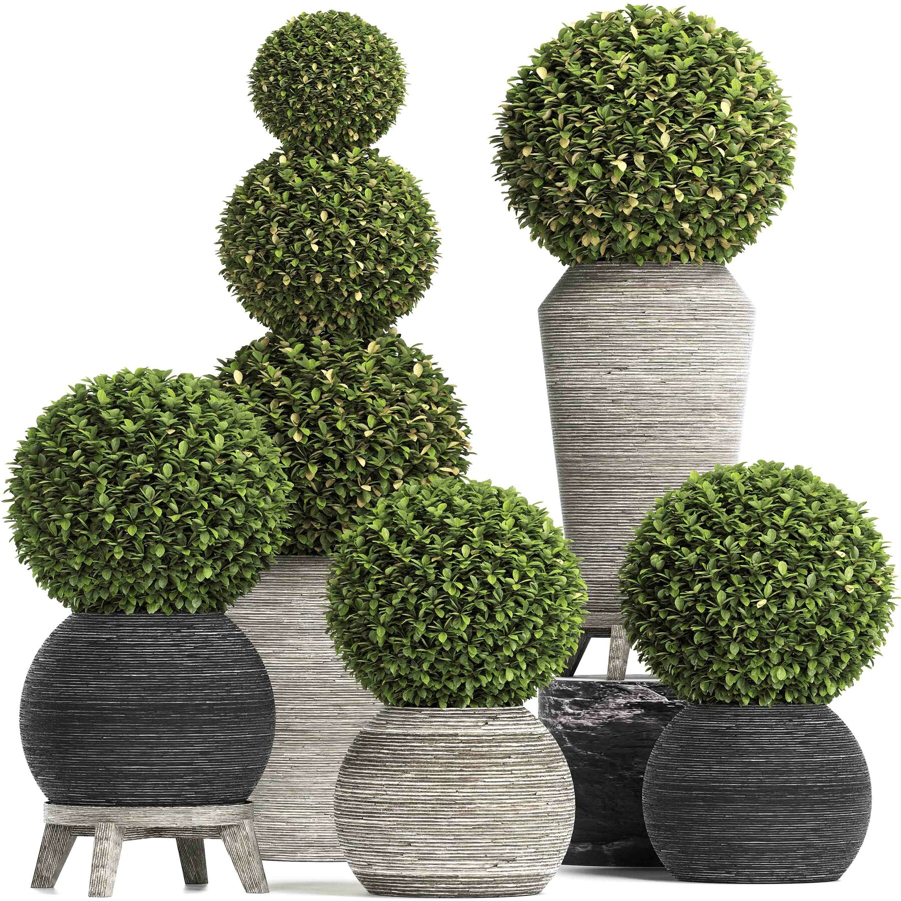Amazing Renders Concrete Tree Topiary Indoor Plant 221