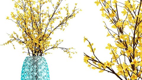 Decorative Vase_ 444_005