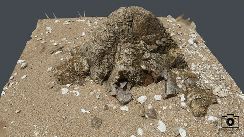 Beach Rock_0019(Photogrametry.Photoscan.obj,Photo)