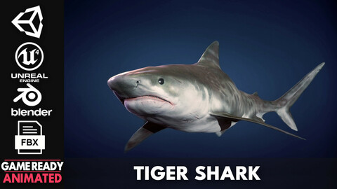 Tiger Shark - Game Ready