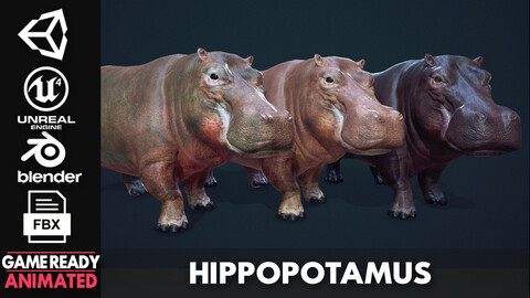 Hippopotamus - Game Ready