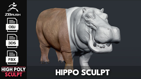 Hippopotamus - Sculpt
