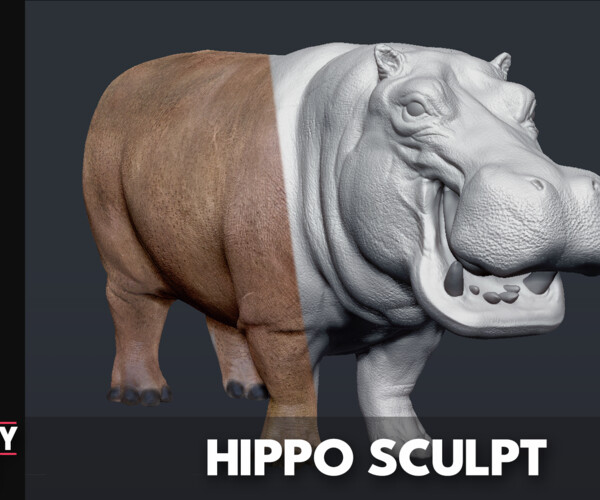 Artstation - Hippopotamus - Sculpt 