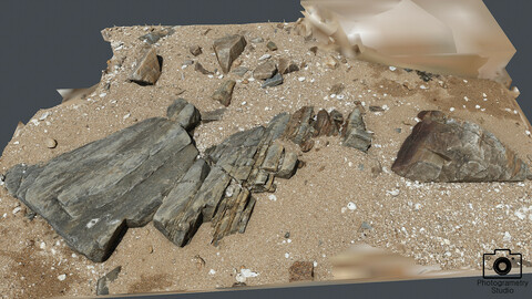 Beach Rock_0025(Photogrametry.Photoscan.obj,Photo)