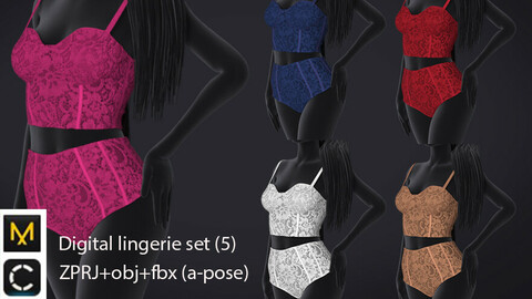Digital lingerie set (5)