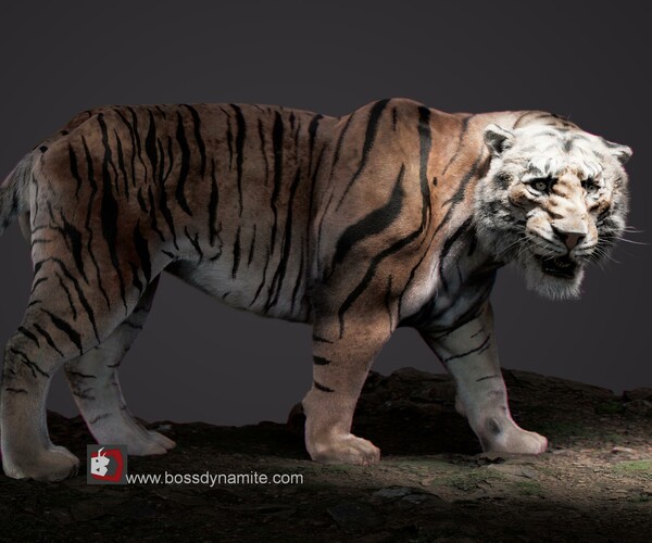 ArtStation - Bengal Tiger (Fur)