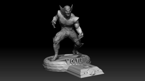 Wolverine Volume Test.