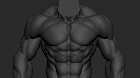 Torso Basemesh