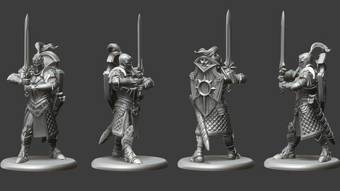 Paladin, Order of the Sun Miniature