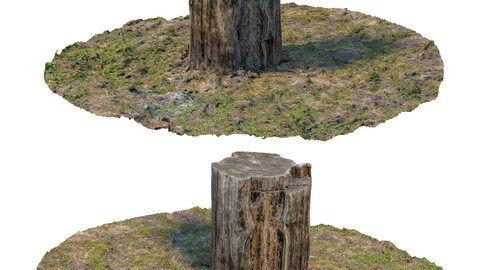 349 Stump