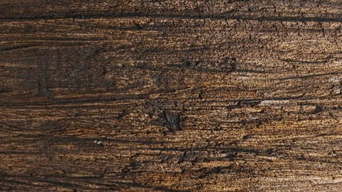 seamless natural wood material