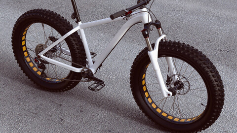 Fat Bike