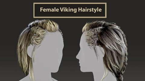 Female Viking Hairstyle