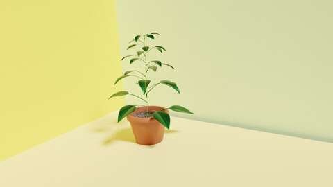 Plant Vase 3D