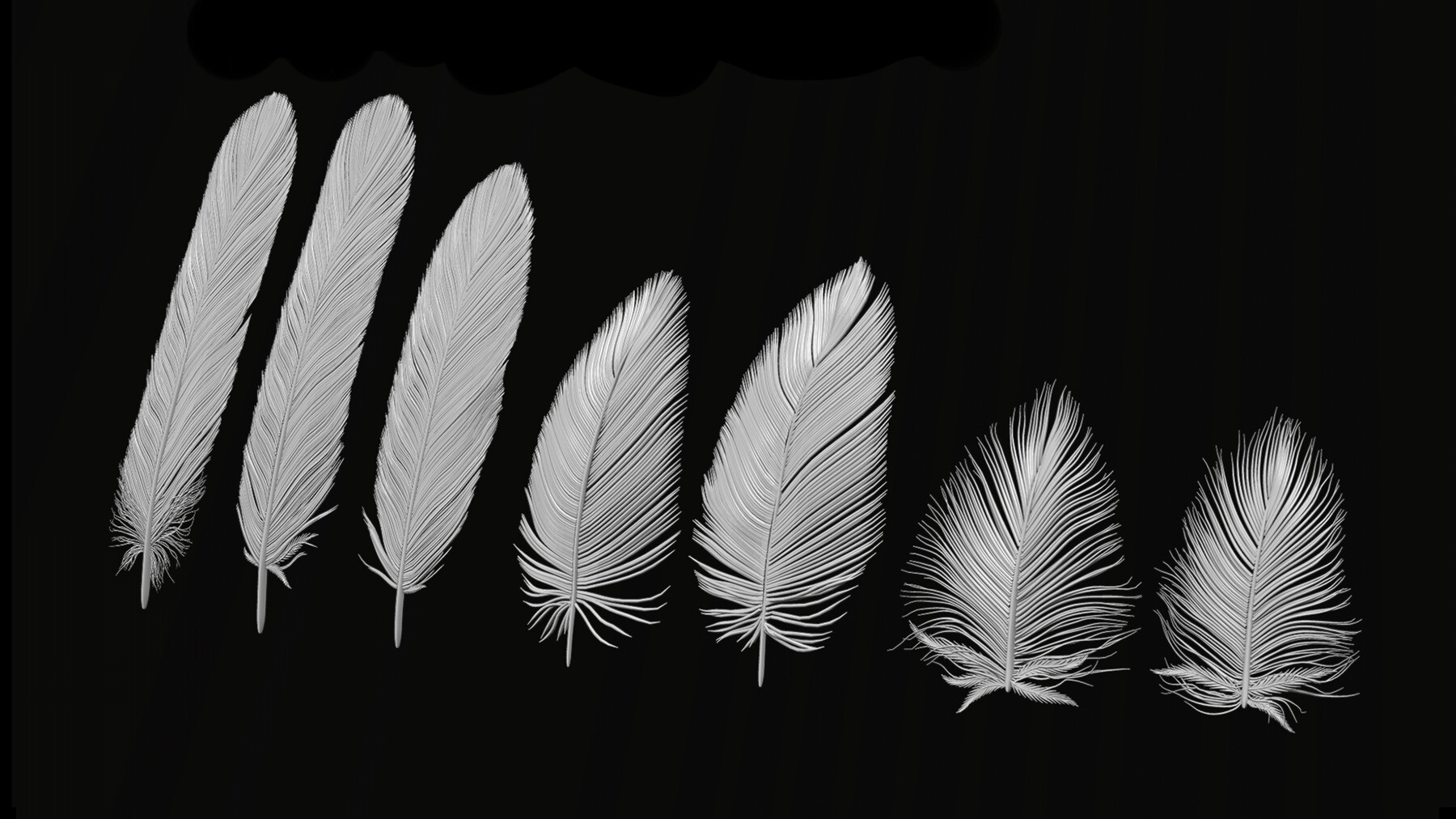 ArtStation RedTailed Hawk Feathers IMM Brushes