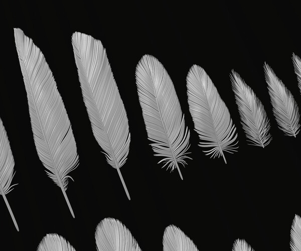 ArtStation - Red-Tailed Hawk Feathers IMM | Brushes