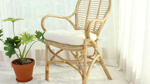 Della chair rattan chair