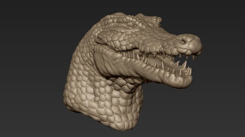 Crocodile Humanoid Head