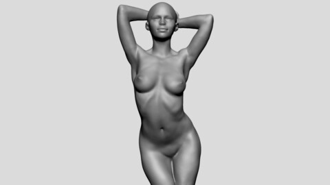 Posed Female Torso