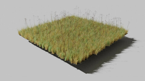 Dry St Johns Wort and Free Gift