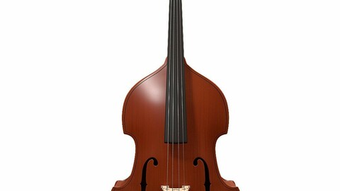 Contrabass