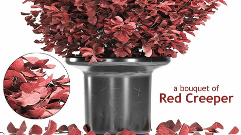 A bouquet of Red Creeper