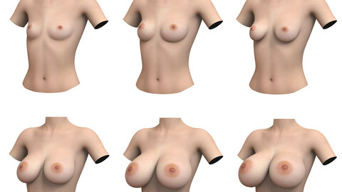 Woman Breast Collection