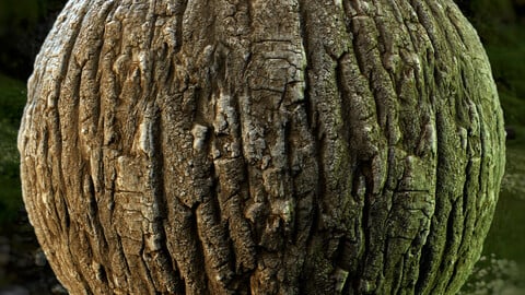 PBR - TREE BARK 01 - 4K MATERIAL