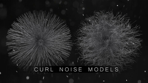 Curl Noise Models