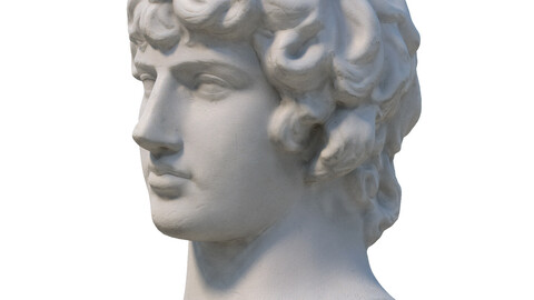 355 Antinous gypsum Head