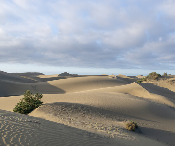 ArtStation - DESERT environment - 365 HIGH QUALITY photos, different ...