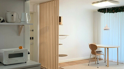 Temporary wall interior stripe partition