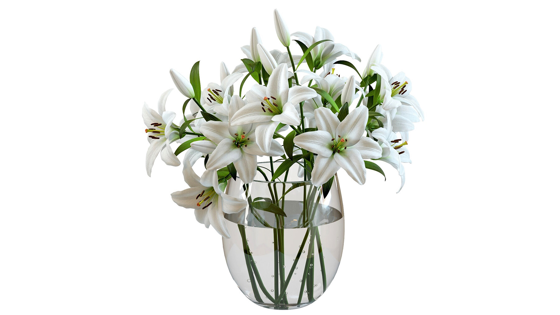 18,871,413 White Flowers Images, Stock Photos, 3D objects