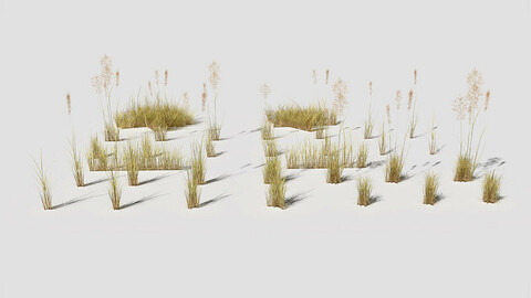 Low Poly Bent Grass Dry Pack