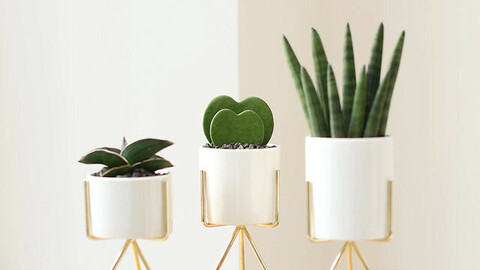 Gold Ceramic Stand Potted Plant