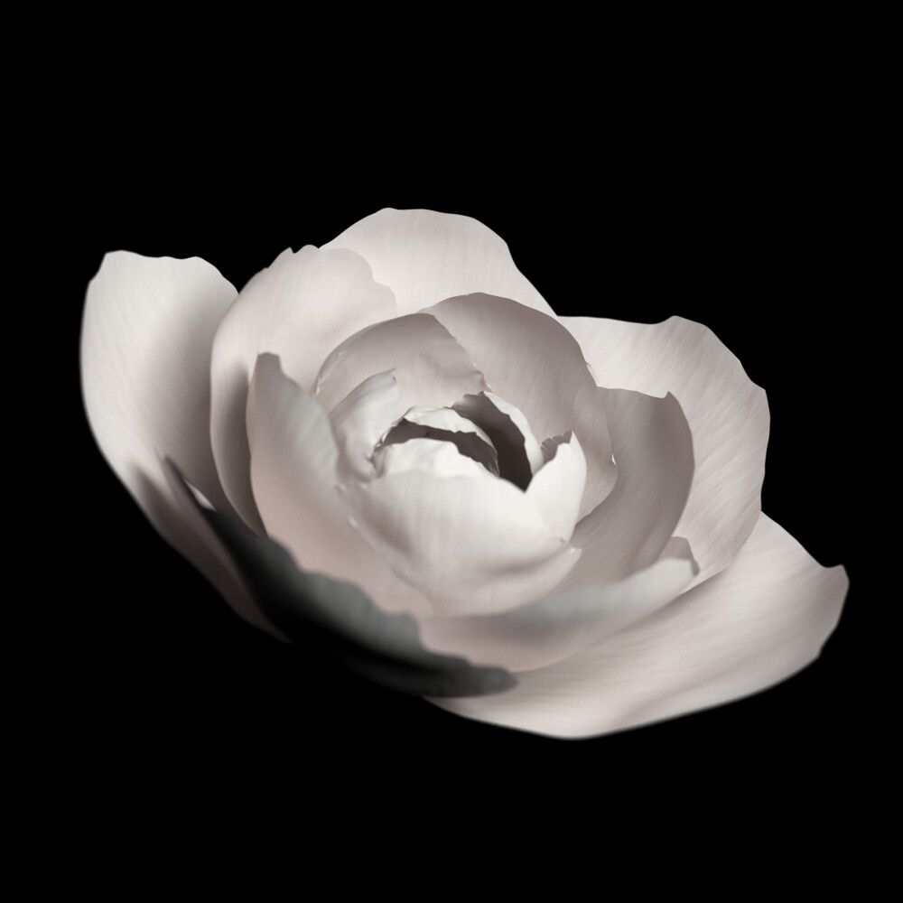 ArtStation - 5 Animated Blooming Flowers | Resources