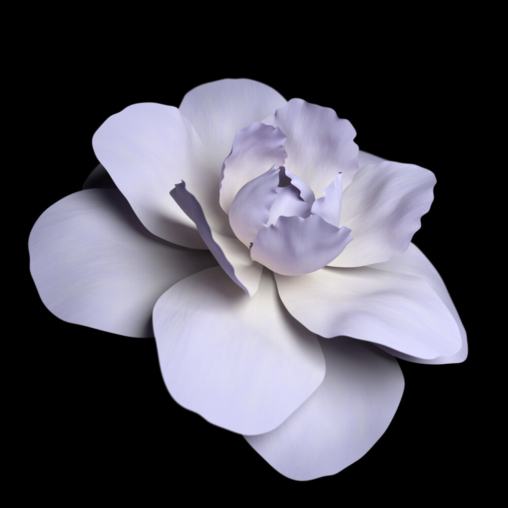 ArtStation - 5 Animated Blooming Flowers | Resources