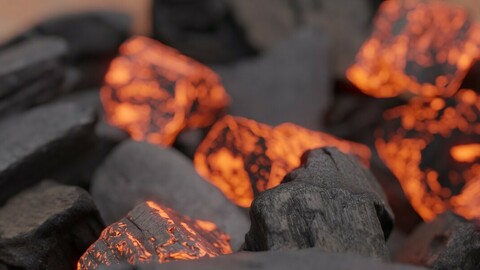 Photorealistic Charcoals