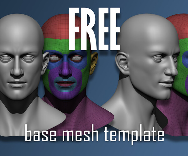 ArtStation Male Head 3D Base Mesh Template Resources