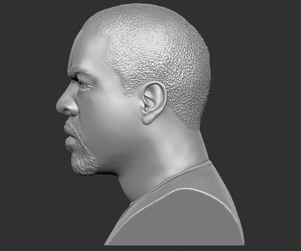 ArtStation - Ice Cube bust 3D printing ready stl obj formats | Resources