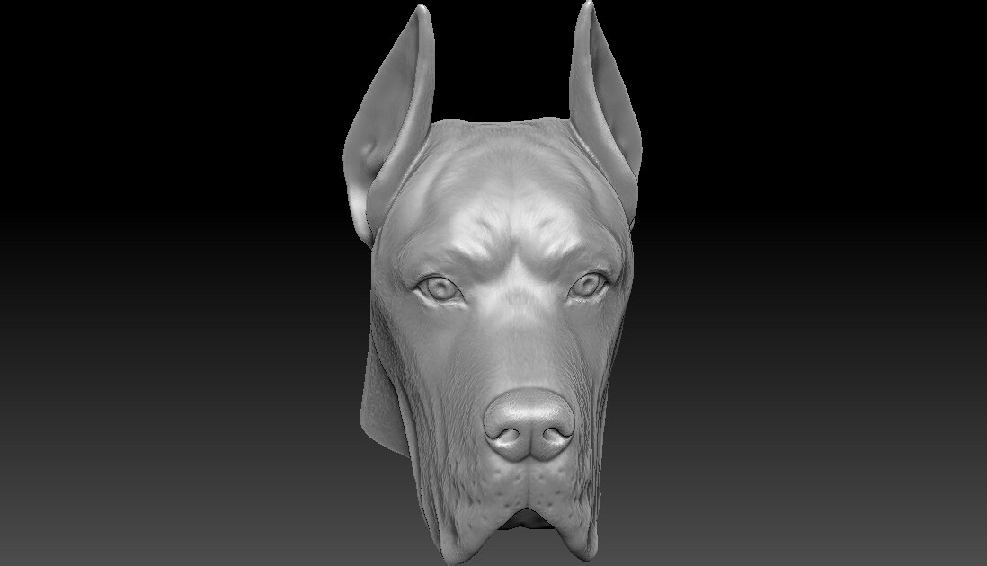 ArtStation - Great Dane head for 3D printing | Resources