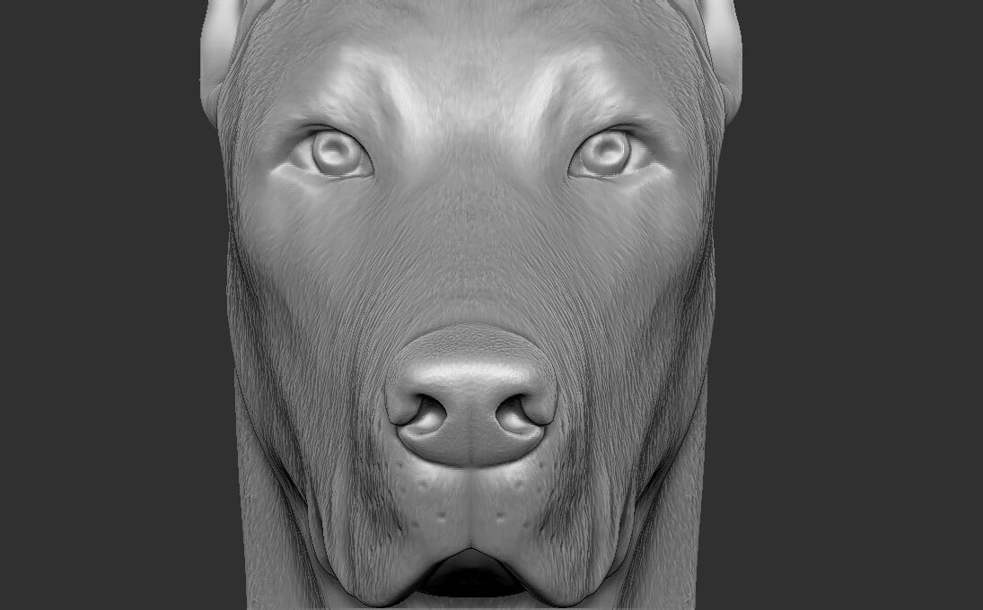 ArtStation - Dobermann head for 3D printing | Resources