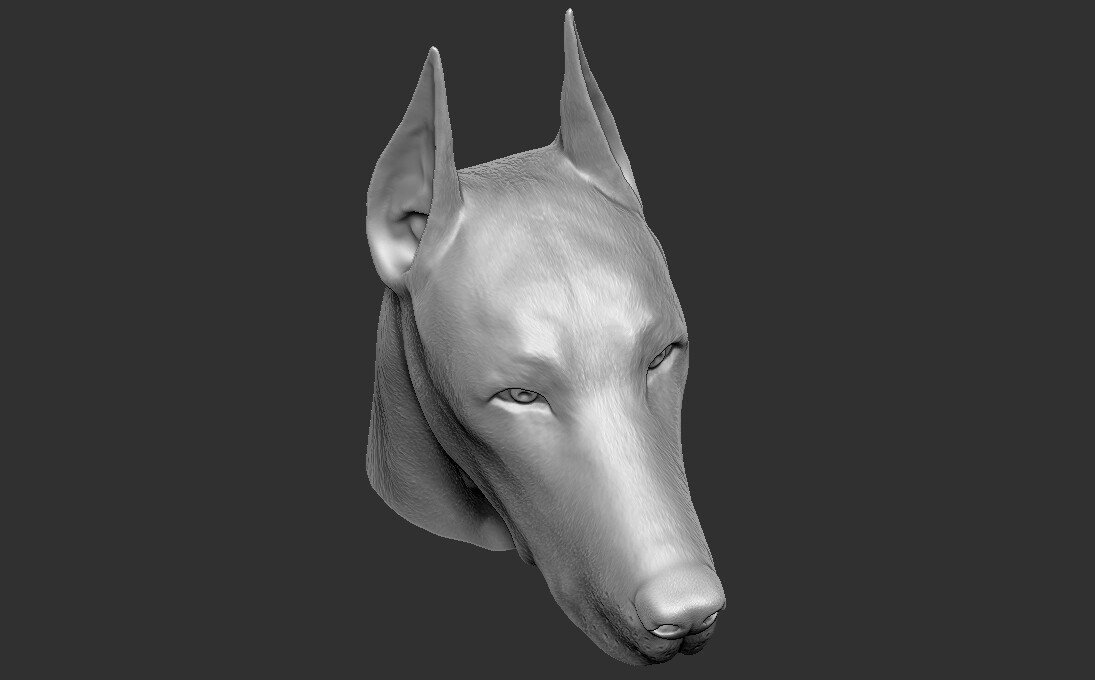 ArtStation - Dobermann head for 3D printing | Resources