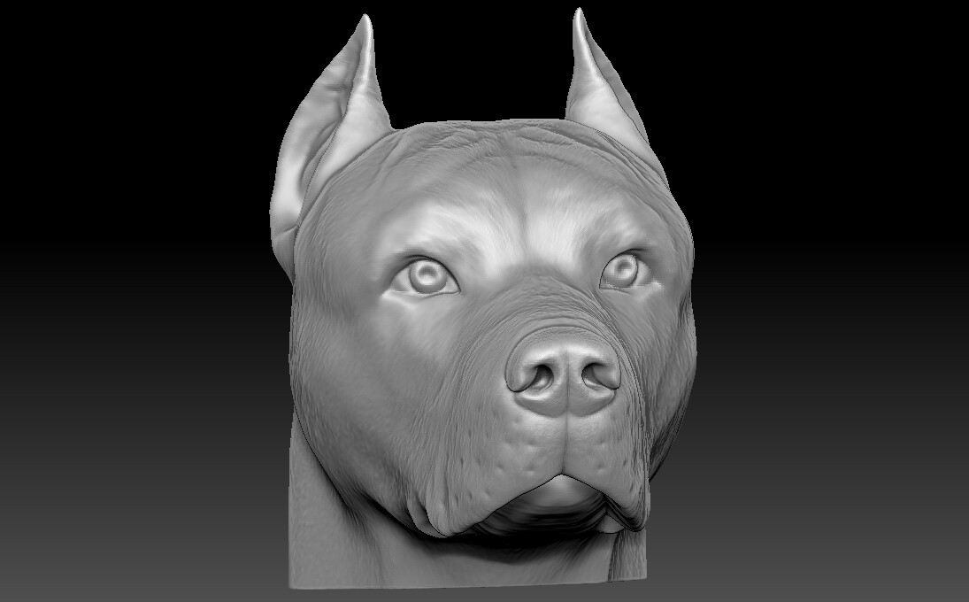 Ротвейлер Zbrush