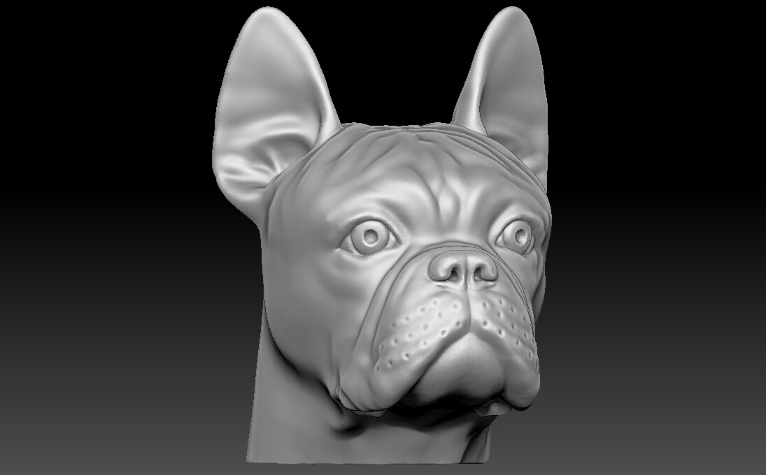 ArtStation French Bulldog head for 3D printing Resources