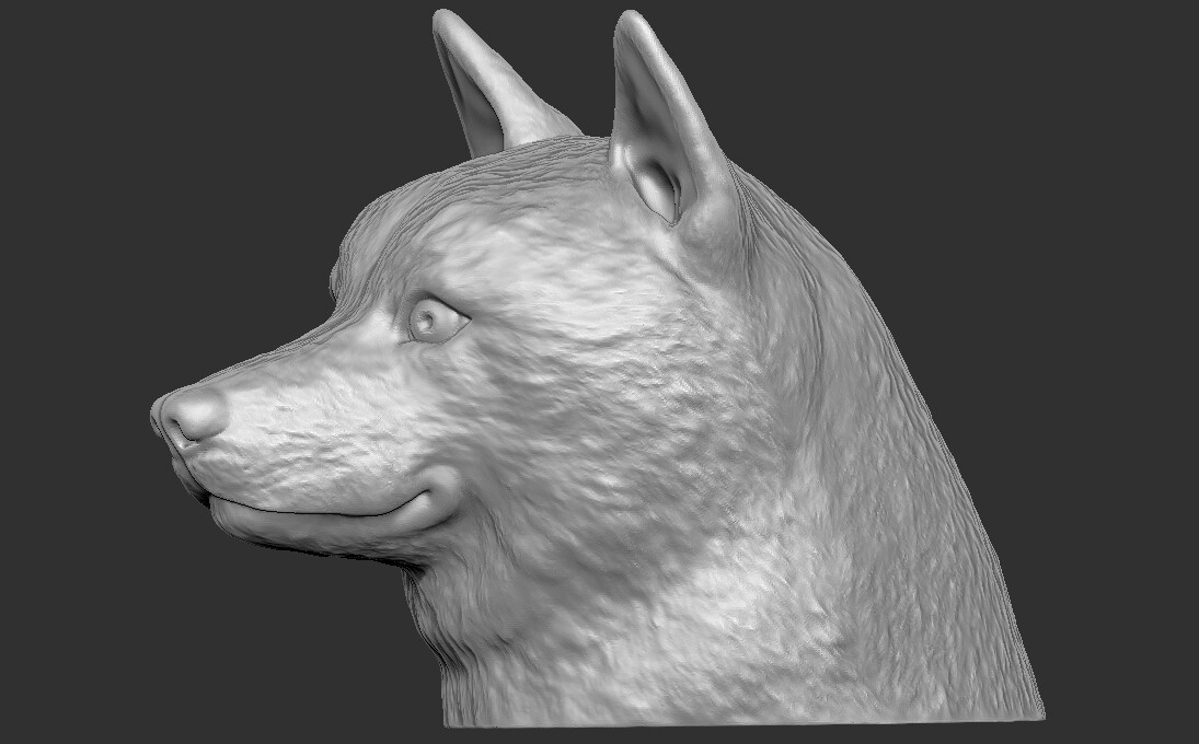 ArtStation - Shiba Inu head for 3D printing | Resources