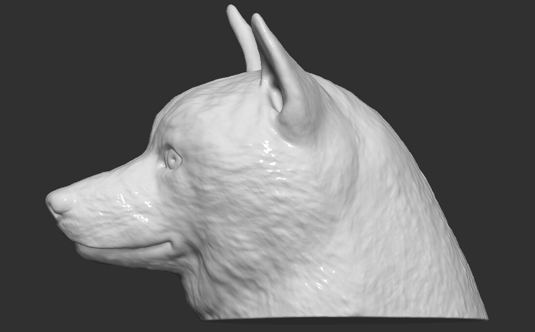 Artstation - Doge Meme Shiba Inu Head For 3d Printing 