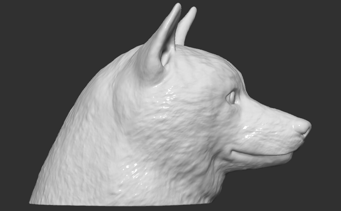 ArtStation - Doge meme Shiba Inu head for 3D printing | Resources